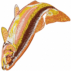 Fishes Embroidery Design 10